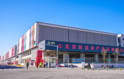 山東蘭陵蔬菜將規?；M京