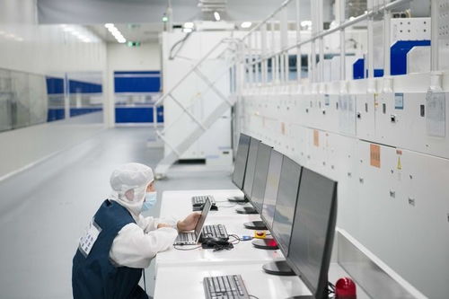 中國經(jīng)濟(jì)樣本觀察 企業(yè)樣本篇 追光逐新 光伏獨(dú)角獸華晟新能源的成長故事