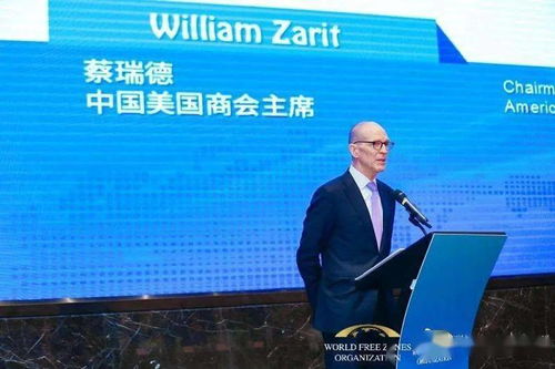 消滅 神翻譯 史家教育集團服務學習項目系列報道